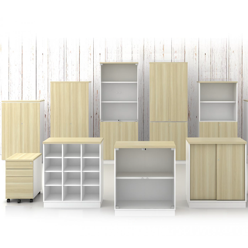 Modern wooden office cabinet with lockable storage doors in a contemporary corporate workspace